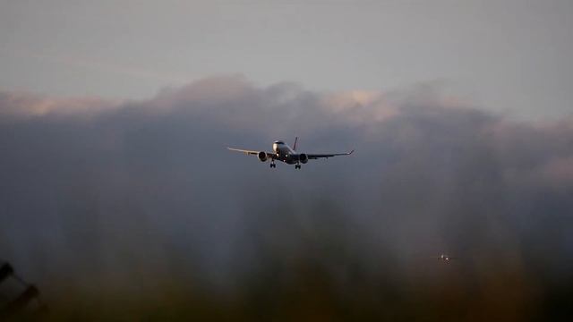 southwind planespotting @ zurich airport 17.nov.2016 part 2 смотреть онлайн