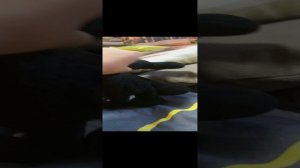 скибиди туалет 4 серия