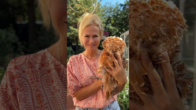 Похожа??? смотреть онлайн