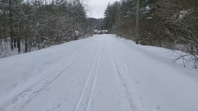 Лесные беседы. Как я начал бухать в 14 лет и почему бросил в 18 лет смотреть онлайн