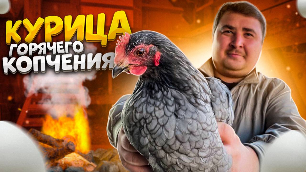 КАК БЫСТРО И ПРОСТО ЗАКОПТИТЬ КУРИЦУ! КУРИЦА ГОРЯЧЕГО КОПЧЕНИЯ!!! смотреть онлайн