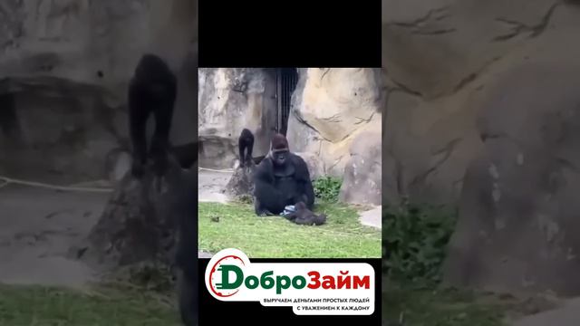 Я и мой коллега