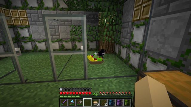 Newly Hatched McCaw Parrots! 🐘 Zoo Crafting: Season 2 - Episode #184 смотреть онлайн