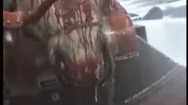 Meet Your Meat, The Barbarity Of Halal Slaughter