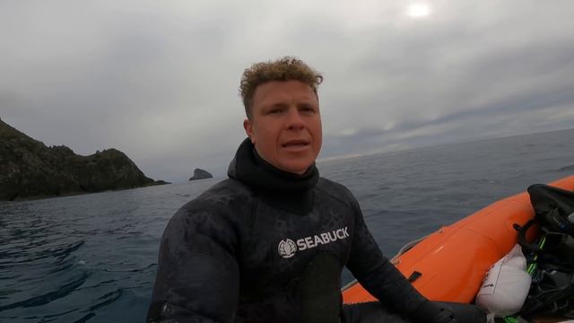 Spearfishing GIANT Yellowtail Kingfish New Zealand. Fillet +Smoke-up смотреть онлайн