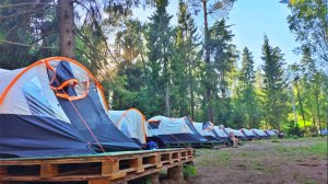 Детский лагерь "Лесная Сказка"