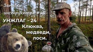 Записки инструктора #12. Сезон 2024г. УНЖЛАГ - 24. Клюква, медведи, лоси.