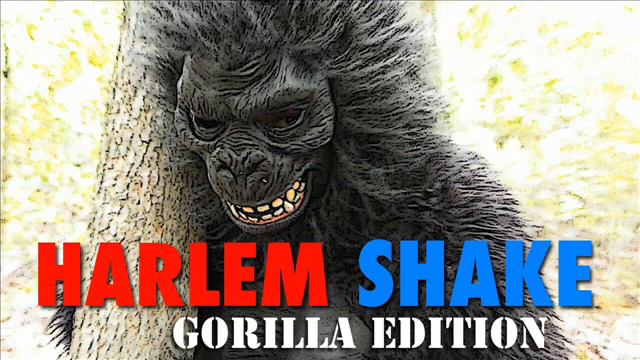 Baauer -- Harlem Shake (Gorilla Edition) 2013 Deejay Tolga смотреть онлайн