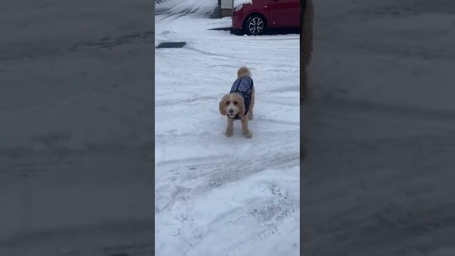 6 February 2023 смотреть онлайн