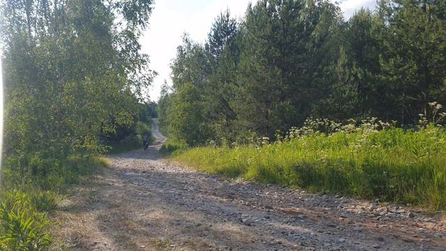 МОЙ ВЕРНЫЙ ДРУГ С МОКРЫМ НОСОМ И ПУШИСТЫМ ХВОСТОМ смотреть онлайн