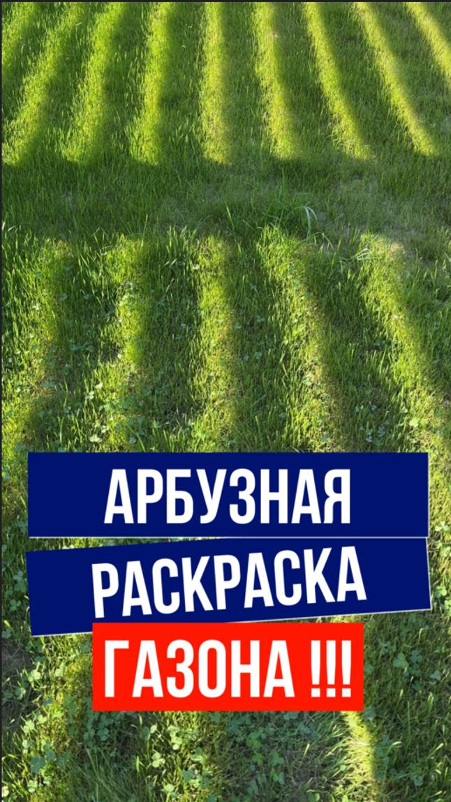 Необычная раскраска газона в кп Ели Estate на Ленинградке смотреть онлайн