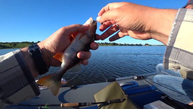 Тест на воде новой резины часть 2. Разловил Айру от BorodaBaits и Мосю от Bait Breath смотреть онлайн