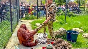 Пол-парка СМЕЯЛОСЬ от того, как Дана лечила Олега Зубкова)))