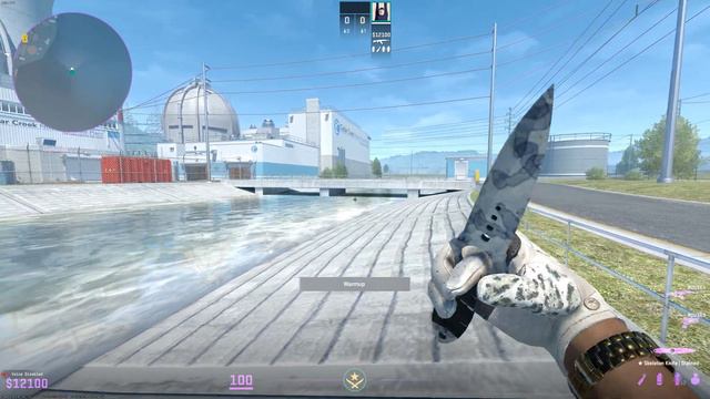 First Knife Pull (Stained Skeleton) CS2 смотреть онлайн