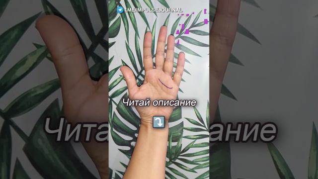 Линия, блокирующая отношения #хиромантия #гадание #тайныруки #рукасудьбы #поясВенеры смотреть онлайн