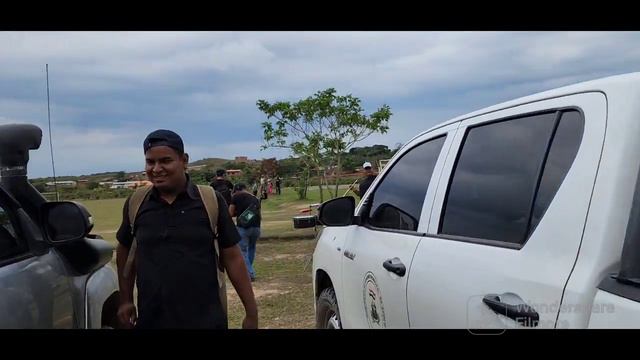 banda de san borja.fiesta de apolo.siboney y otros смотреть онлайн