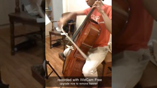 Vivaldi - Flute Concerto смотреть онлайн