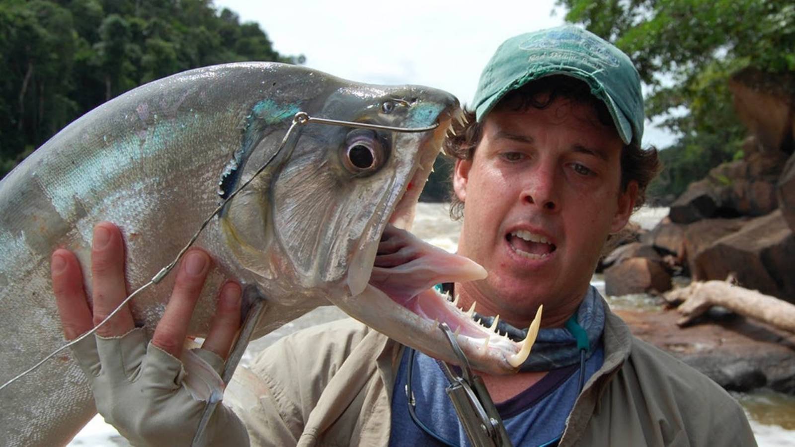 Находки в Амазонке Шокирующие Всех! Никто не Знает Что Это! смотреть онлайн