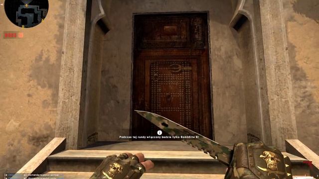 CS:GO BAYONET M9 FOREST DDPAT FN + BLOODHOUND GLOVES GUERRILLA FN | SKIN SHOWCASE смотреть онлайн