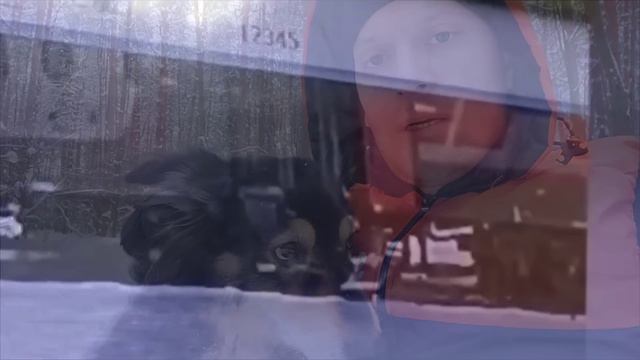 Проводница выбросила кота Твикса из поезда в 30°С мороз! Помогите подписать петицию! смотреть онлайн