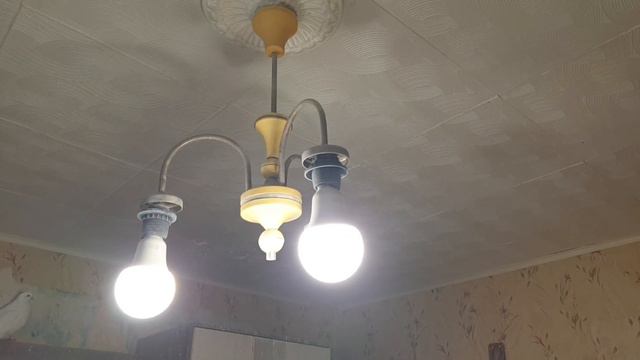 Улучшил мостик для голубей и другие приятные мелочи смотреть онлайн