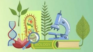 Биология 7 класс. Класс Насекомые.--