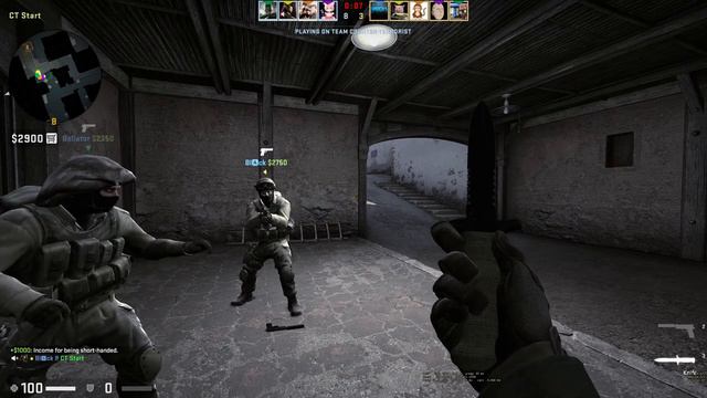 CS:GO: RTX 3070 Ti || 1440p ~~Live Stream смотреть онлайн