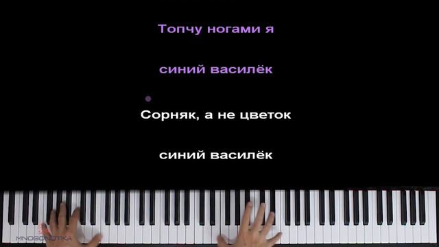 Синий василёк на пианино