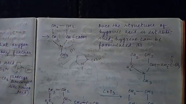HYGRINE - AN IMPORTANT ALKALOID for B.Sc Chemistry (Honours) смотреть онлайн