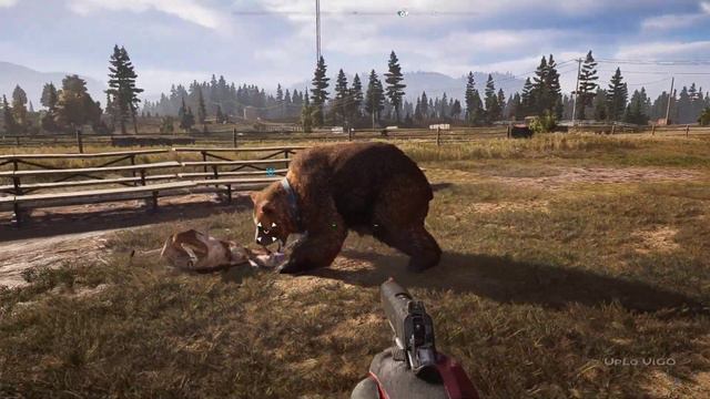 Hunting With Dog Bear and Cougar in Far Cry 5 | Animal Attack | Far Cry 5 Game Play смотреть онлайн