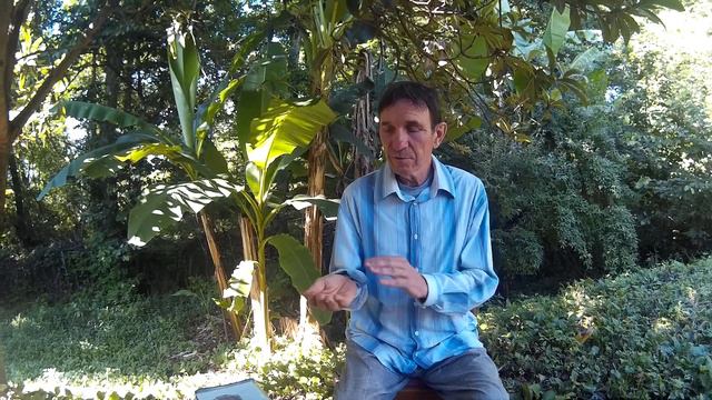 ОЧИЩЕНИЕ ТОЛСТОГО КИШЕЧНИКА ОТ ПАРАЗИТОВ 1 ЧАСТЬ смотреть онлайн