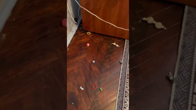 Гриша навел порядок)