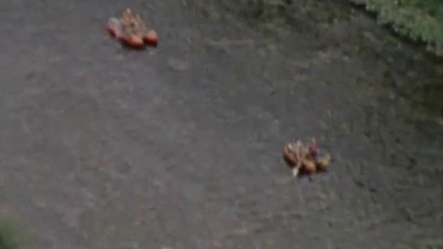 Клуб путешественников / Кемеровская область 1980 г смотреть онлайн