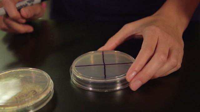 Antibiotics Resistance Lab смотреть онлайн