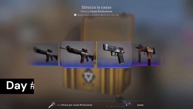 Opening a CSGO Revolution case everyday until i get gloves - #16 смотреть онлайн