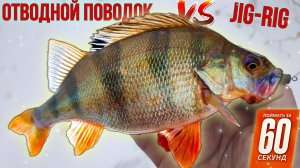 Тактика Ловли Пассивного Окуня. Джиг-риг или отводной поводок?