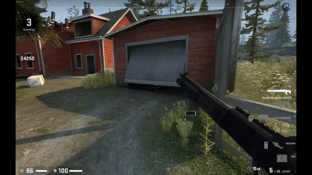 CS : GO , Danger zone, Обычные покатушки, а также тамада Артем и пекарь Иван смотреть онлайн