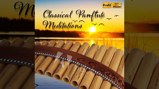 Sonata No. 2 für Panflöte und Orchester in E Major смотреть онлайн