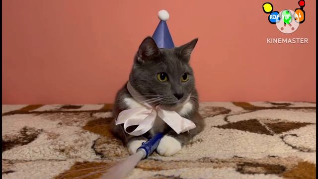 Котинет на канале карусель после рекламы,анонса и Фиксиков.