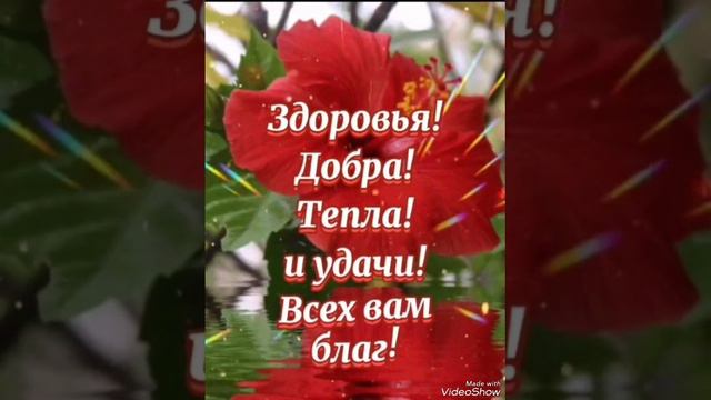 Доброе утро☀ 🌝Будьте счастливы и Богом хранимы 🙏🙏🙏 смотреть онлайн