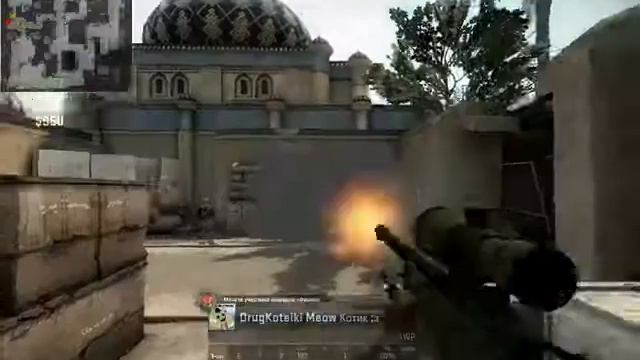 Котяра CSGO vine смотреть онлайн