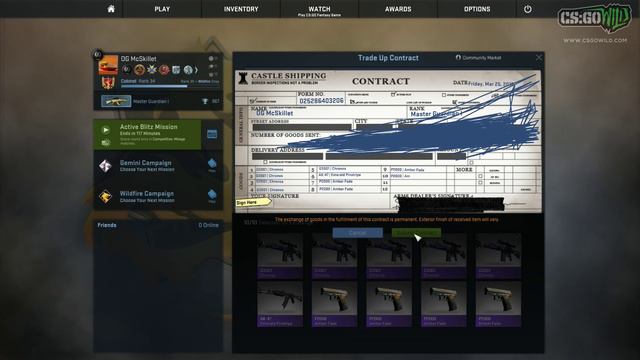 CS GO - Crafting McSkillet Loadout 2.0! #1 Poseidon, Knight, & Hydroponic! смотреть онлайн