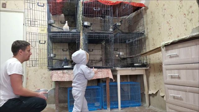 Когда папа и дочь - одна команда смотреть онлайн