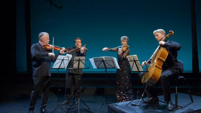 Svendsen Romance, arranged for String Quartet by Fabian Muller смотреть онлайн