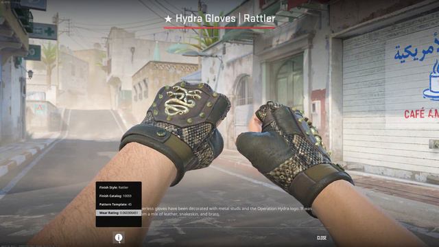 CS2 Broken Fang, Bloodhound And Hydra Gloves - All Gloves UPDATED [4K60FPS]