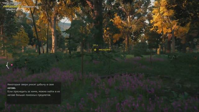 FAR CRY NEW DAWN ПРОХОЖДЕНИЕ ЧАСТЬ 1 смотреть онлайн