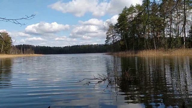 Смоленское Поозерье. Май 2021