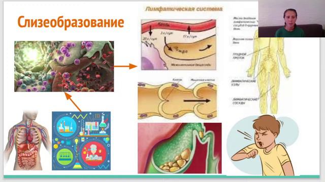 Введение в Осеннее Питание