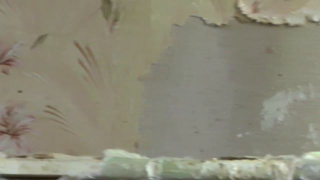 Все наши животные крупным планом смотреть онлайн