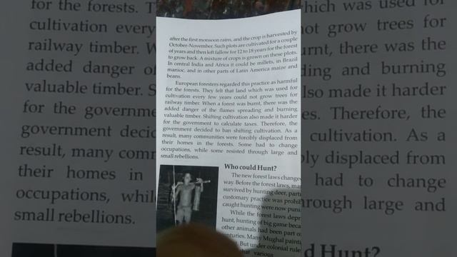 how did forest rules affect cultivation? смотреть онлайн